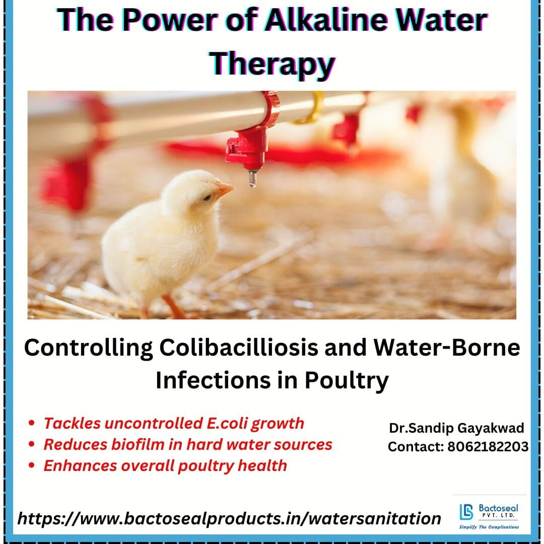Bactoseal Farm Knowledge Hub
